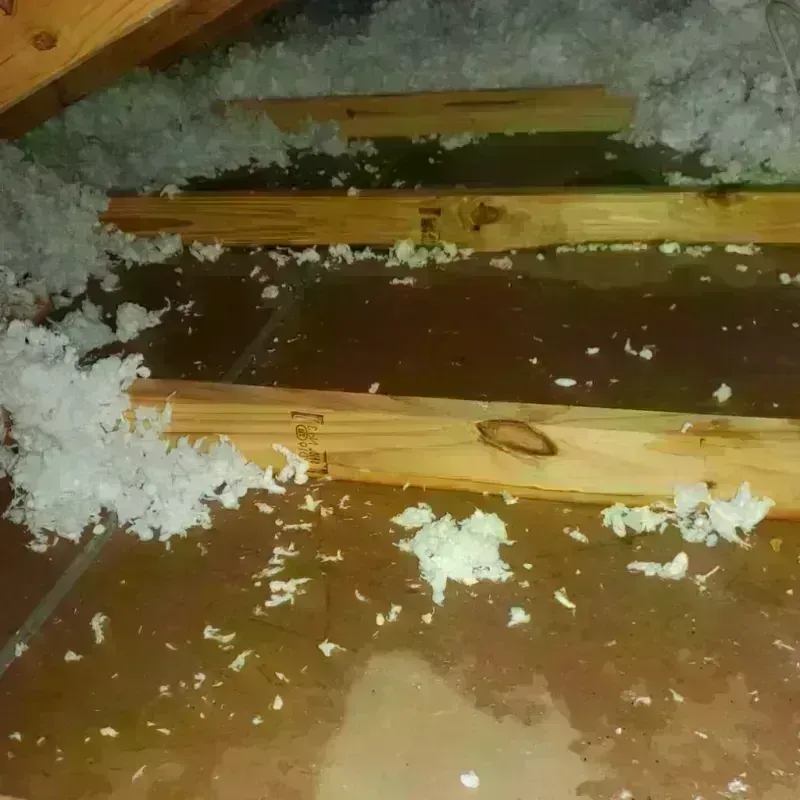 Attic Water Damage in Marshallville, GA