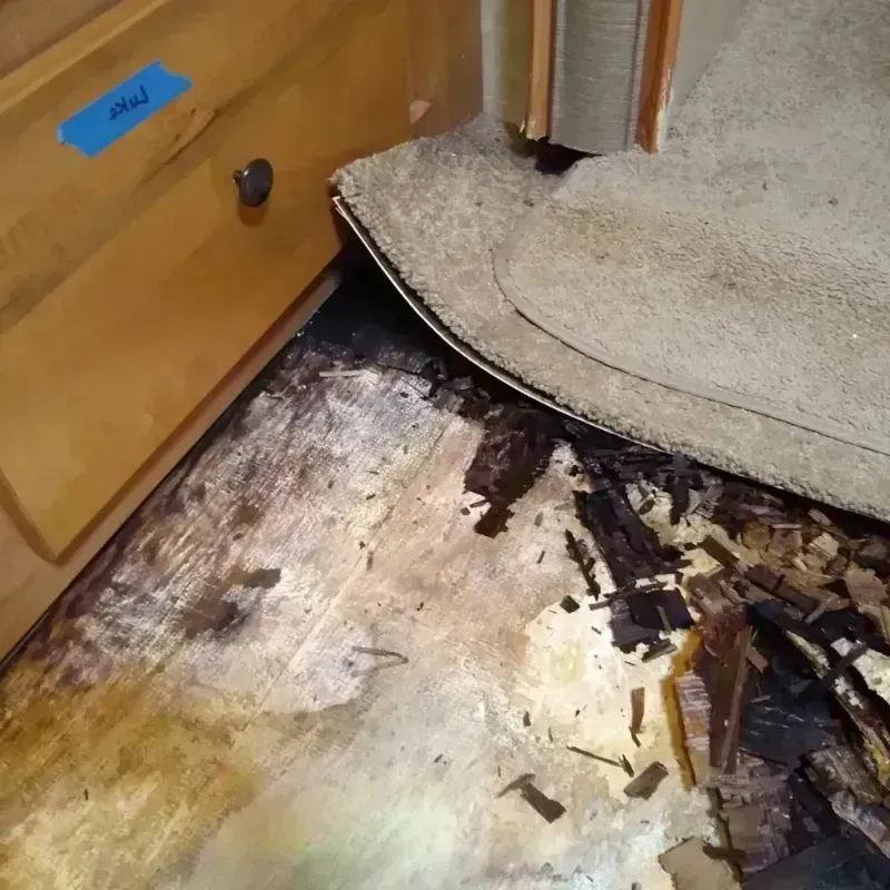 Best Wood Floor Water Damage Service in Marshallville, GA